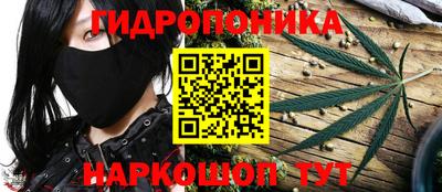 трава Боровичи