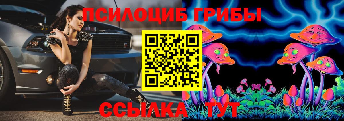 Псилоцибиновые грибы Psilocybe Артём